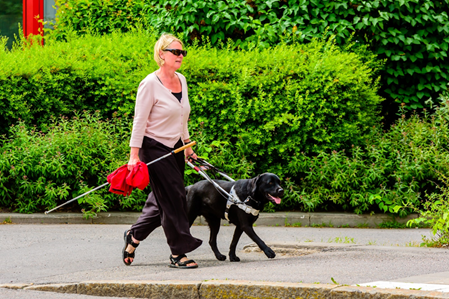 Woman with a white can and guide dog walking outdoors.