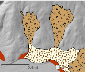 SLIDO bear earth imagery with landslides area on