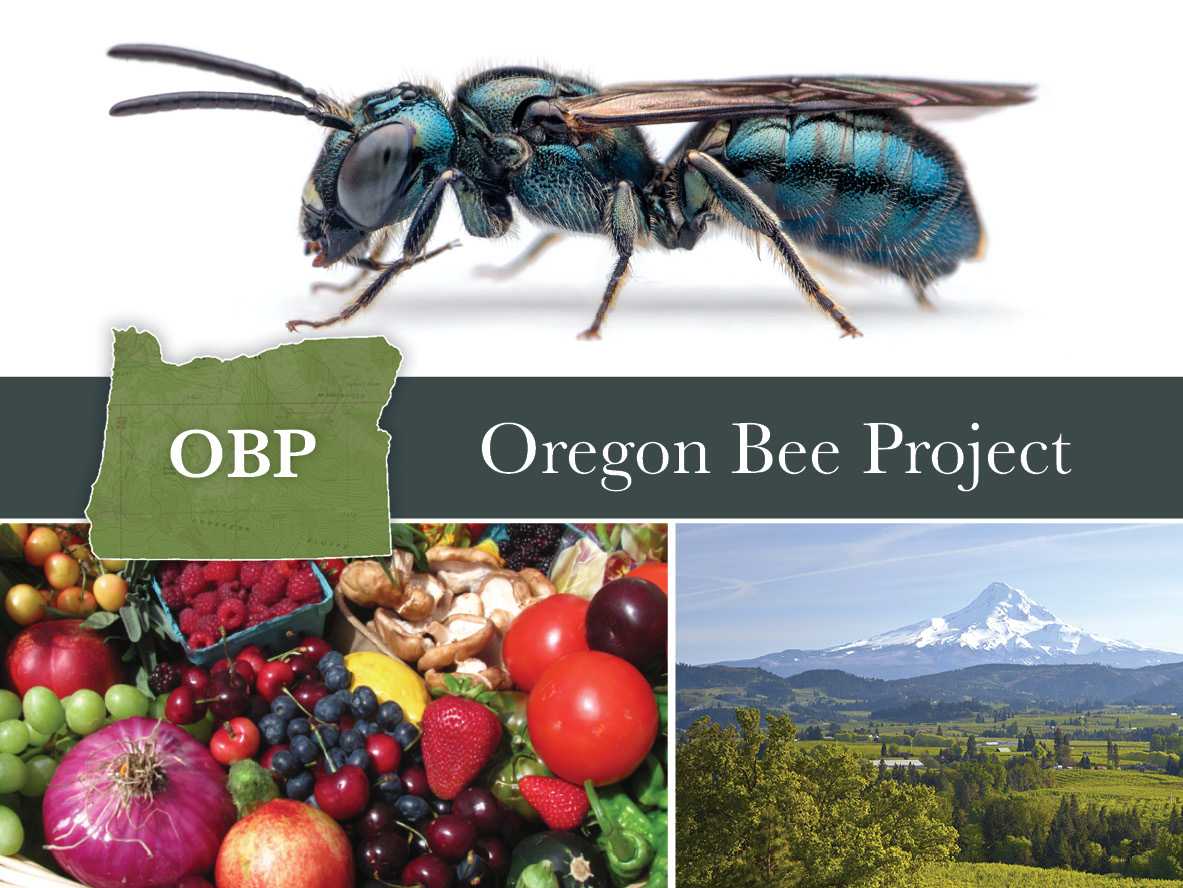 ODA : Oregon Bee Project : Insects : State of Oregon