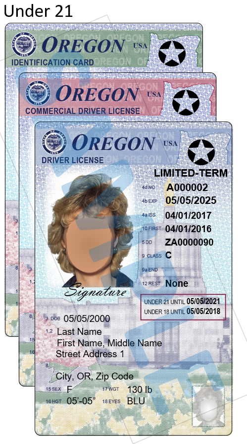 Oregon Department Of Transportation Sample Oregon Driver Licenses And