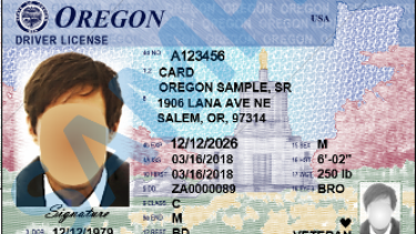 how can i find my drivers license number online