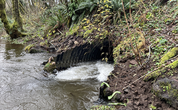 Culvert with excess water