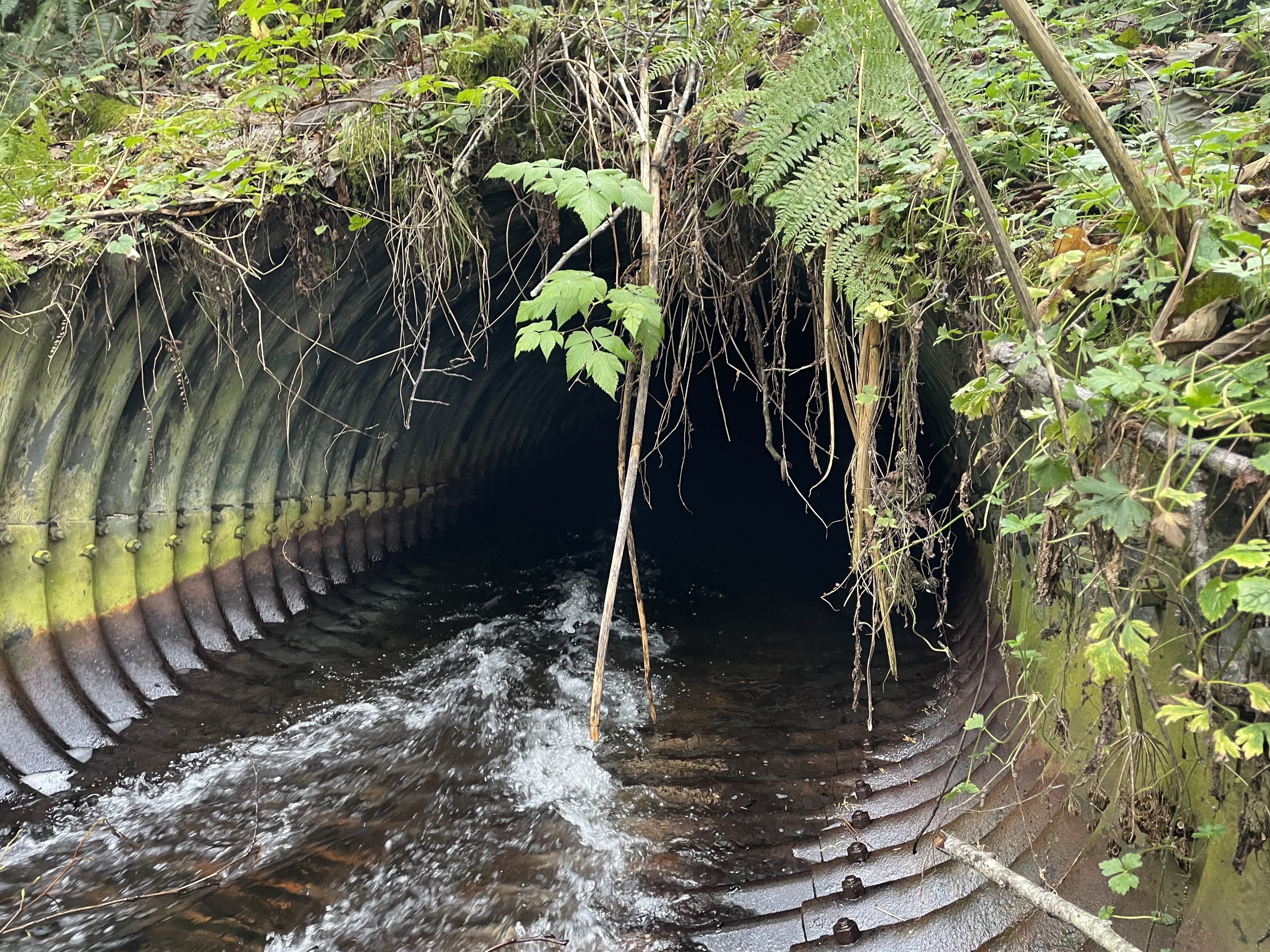 Picture of the Butte Cree Culvert