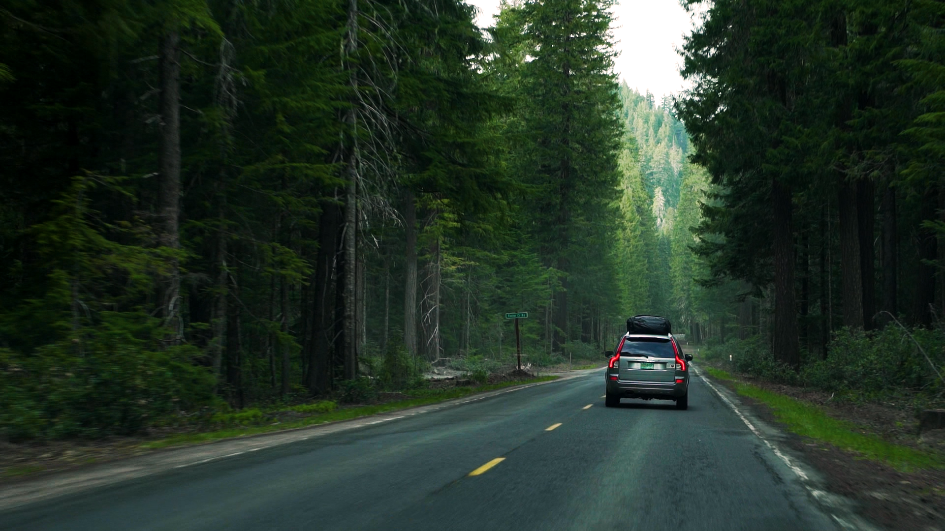 Drive through trees