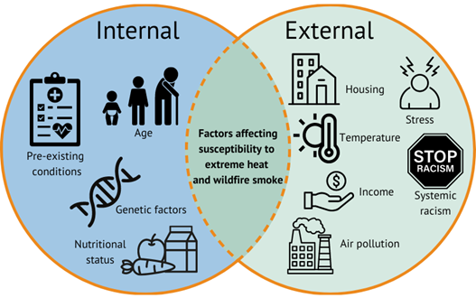 Factors affecting susceptibility to extreme heat and wildfire smoke