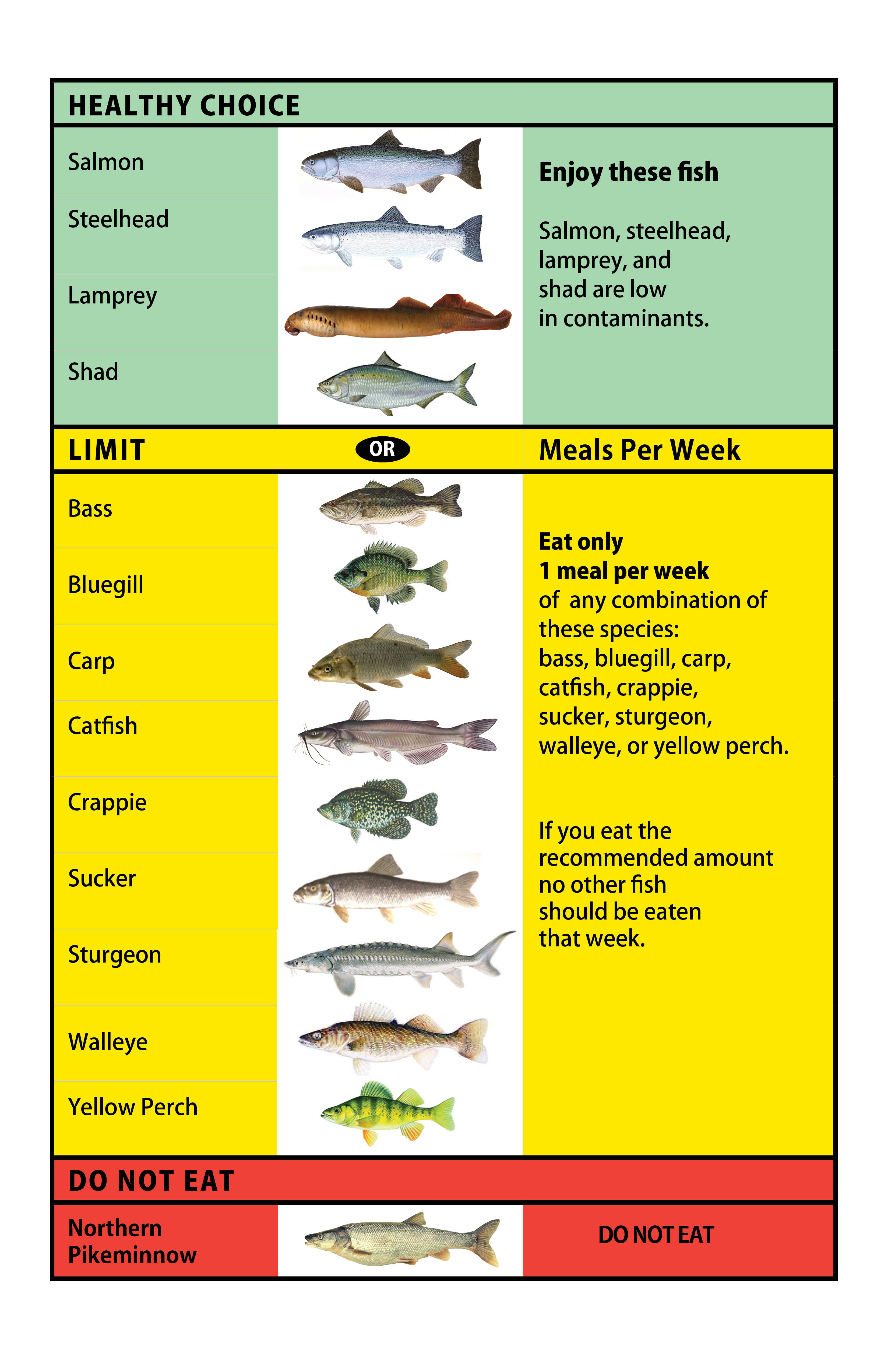 Oregon Health Authority : Middle Columbia Fish Advisory : Fish and ...