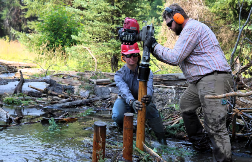 two people pounding an upright wood steak into a creek