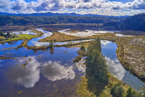 aerial view of the siuslaw river with many braids