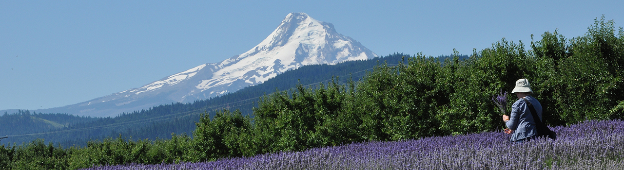 State Of Oregon Public Employees Retirement System PERS Home